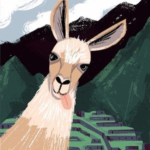 Meet your Posher, Max